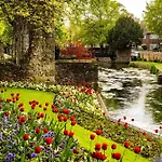City Centre Luxury House - Garden Oasis, Kingsize Beds