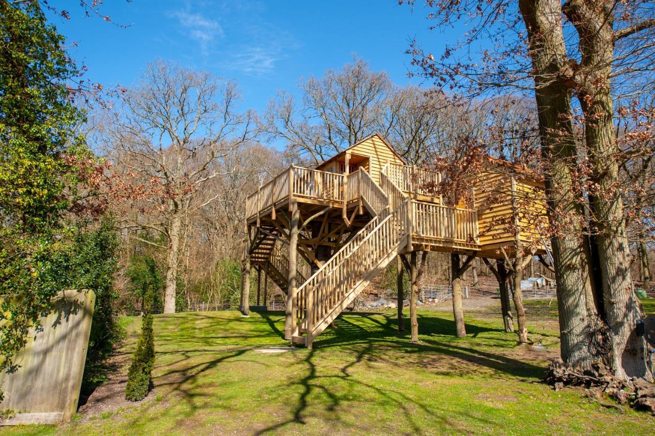 Oakside Tree Tops Lodge Canterbury