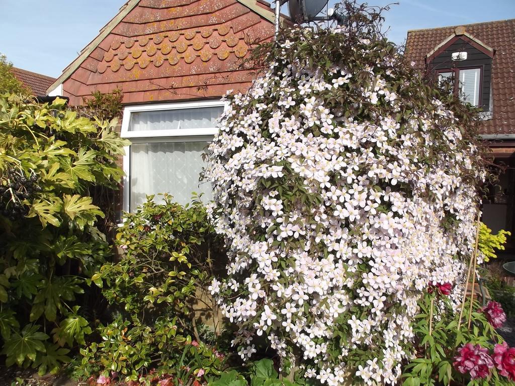 Guest house March
