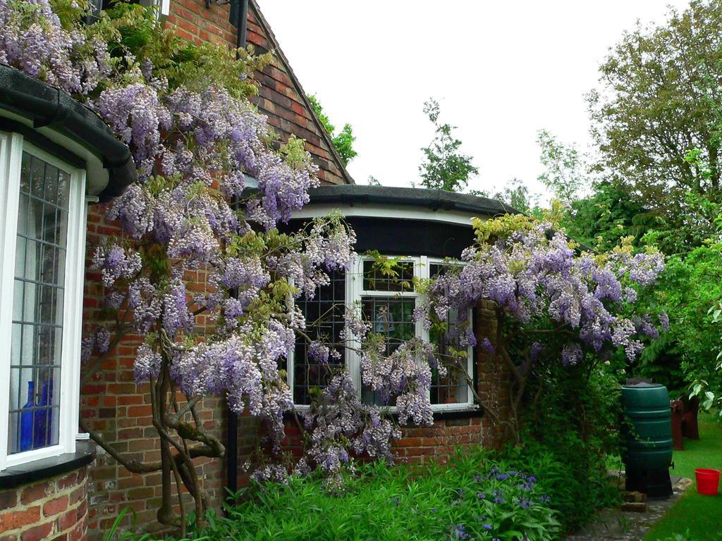 Acomodação com café da manhã  Derringstone Manor Canterbury